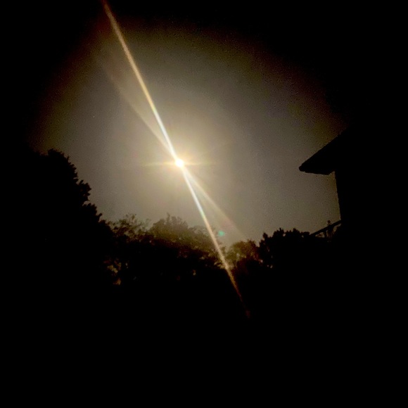 Meet your Posher, Chloé - Picture 1 of 1